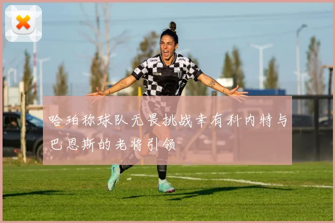 哈珀称球队无畏挑战幸有科内特与巴恩斯的老将引领