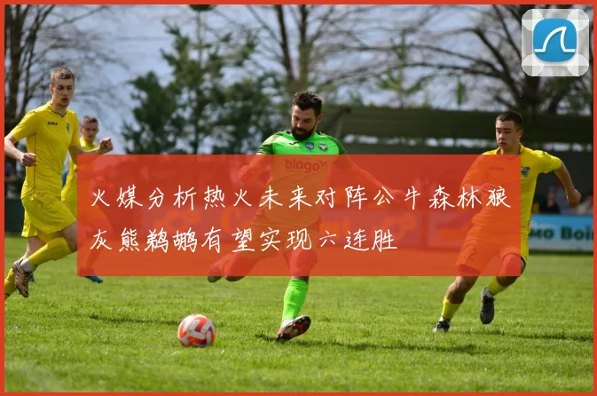 火媒分析热火未来对阵公牛森林狼灰熊鹈鹕有望实现六连胜